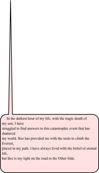In the darkest hour of my life, with the tragic death of my son, I have 
struggled to find answers to this catastrophic event that has shattered 
my world. Bee has provided me with the tools to climb the Everest, 
placed in my path. I have always lived with the belief of eternal life, 
but Bee is my light on the road to the Other Side.