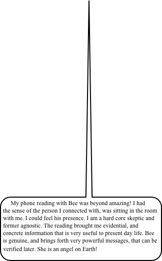 My phone reading with Bee was beyond amazing! I had the sense of the person I connected with, was sitting in the room with me. I could feel his presence. I am a hard core skeptic and former agnostic. The reading brought me evidential, and concrete information that is very useful to present day life. Bee is genuine, and brings forth very powerful messages, that can be verified later. She is an angel on Earth! 
